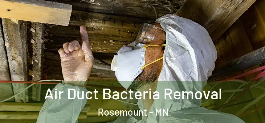 Air Duct Bacteria Removal Rosemount - MN