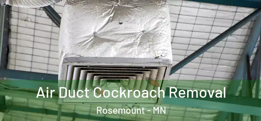Air Duct Cockroach Removal Rosemount - MN