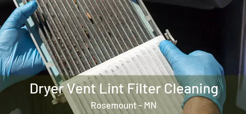 Dryer Vent Lint Filter Cleaning Rosemount - MN