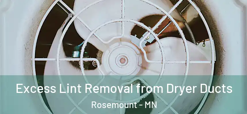 Excess Lint Removal from Dryer Ducts Rosemount - MN