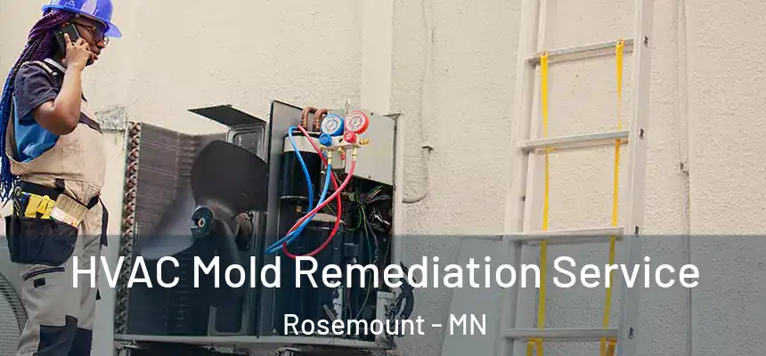  HVAC Mold Remediation Service Rosemount - MN