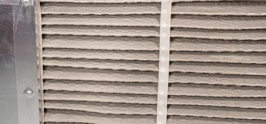 Mobile Car AC Filter Replacement in Rosemount