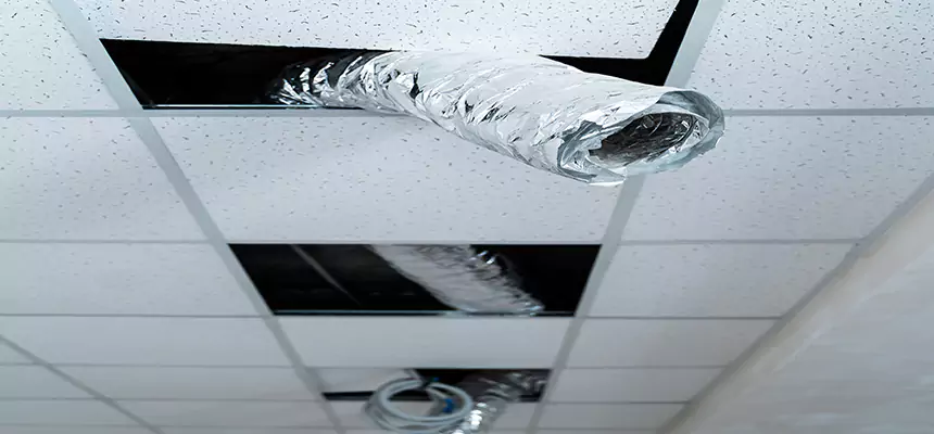 Affordable HVAC Sanitizing After Pest Removal in Rosemount