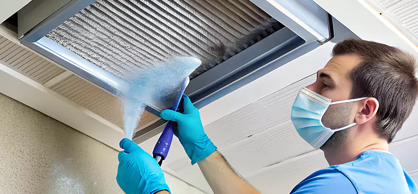 Proactive Dryer Vent & Auxiliary Duct Pollen Cleanup in Rosemount, MN