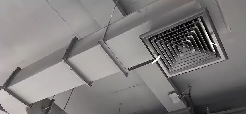 Restorative Allergy Relief Vent Cleaning – Coil, Blower & Housing Detail in Rosemount