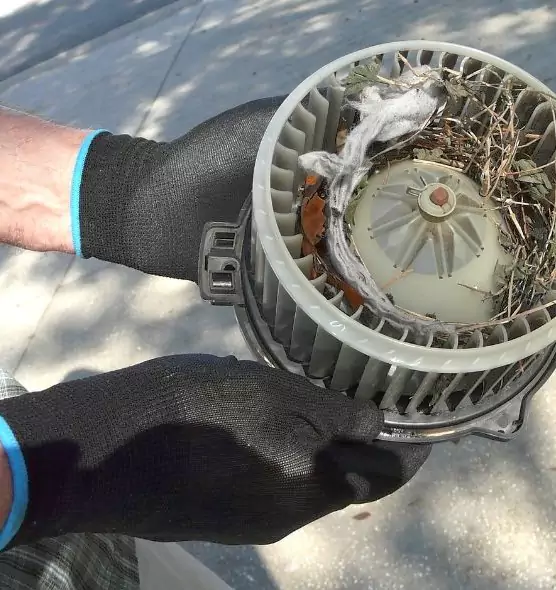 About Air Duct Rat Removal in Rosemount, MN