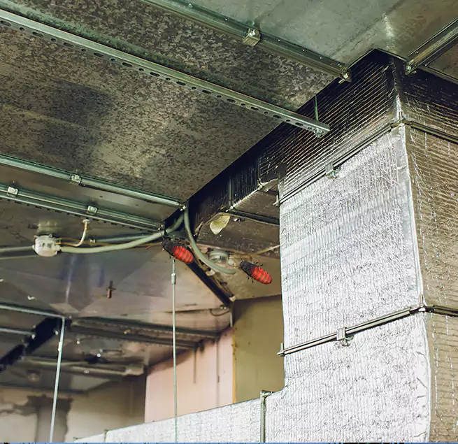 Why Homeowners & Businesses Trust Us in Rosemount, MN?