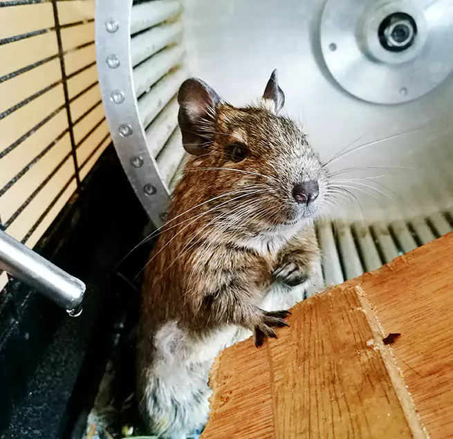 Why Homeowners & Businesses Trust Us Rosemount, MN