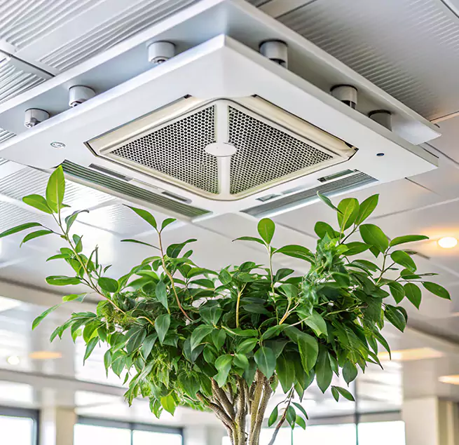 Why Homeowners & Businesses Trust Us in Rosemount, MN?