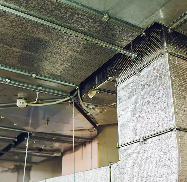 Why Homeowners & Businesses Trust Us in Rosemount, MN?